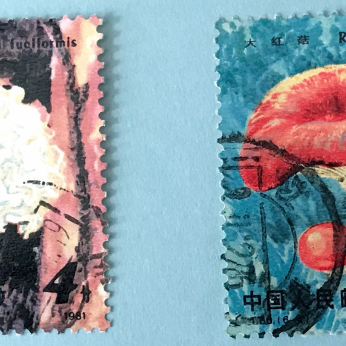 T59 Fable T60 Lanterns T61 bonsai T62 Ceramics T63 Cattle T65 Coins T66 Mushroom